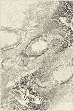Ковер ISFAHAN BELLONA pearl