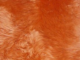 Овчина двухшкурная ORANGE